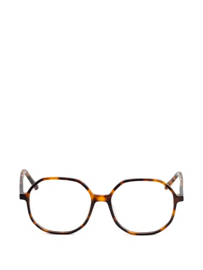 Kaleos Avery Geometric Frames Glasses In Brown