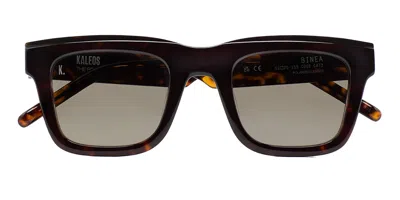 Kaleos Binea Polarized C2 Men's Sunglasses Tortoiseshell Size 51 In Brown