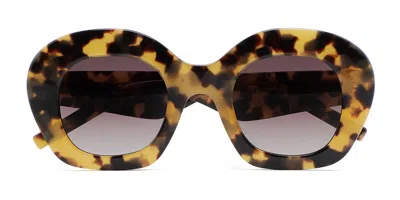 Kaleos Davies C4 Occhiali Da Sole Tartarugatishell Per Uomo In Burgundy