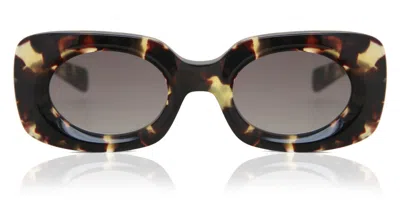 Kaleos Franklin C5 Women's Sunglasses Tortoiseshell Size 49 In Brown