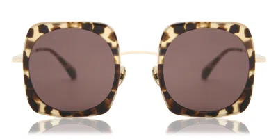 Kaleos Gudrun C2 Women's Sunglasses Tortoiseshell Size 50 In Brown