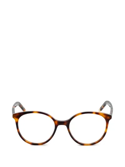 Kaleos Matangi Round-frame Glasses In Brown