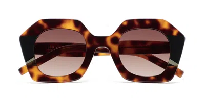 Kaleos Pavicic C3 Occhiali Da Sole Tartarugatishell Per Uomo In Orange