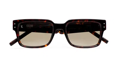 Kaleos Pohl C2 Men's Sunglasses Tortoiseshell Size 54 In Brown