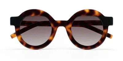 Kaleos Pollitt Ii C2 Men's Sunglasses Tortoiseshell Size 46 In Brown