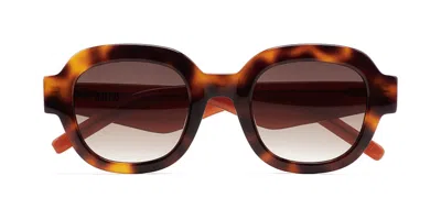 Kaleos Solidor C4 Occhiali Da Sole Tartarugatishell Per Uomo In Green