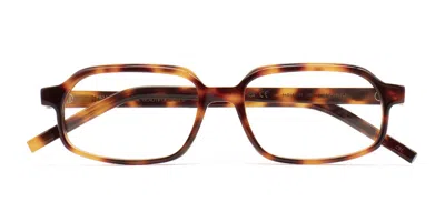 Kaleos Warren C2 Occhiali Da Vista Tartarugatishell Per Uomo (solo Montatura) In Brown