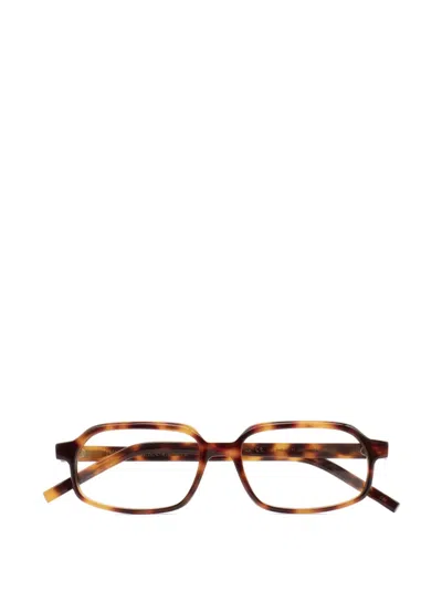 Kaleos Warren Tortoise Geometric Glasses In Brown
