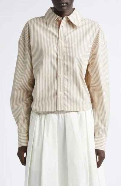 Kallmeyer Tegan Stripe Cotton Poplin Button-up Shirt In Multi
