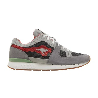 Pre-owned Kangaroos Bisso X Coil R1 Made In Germany 'rainbow Trout Ii' | Grey | Men's Size 10 In Gray