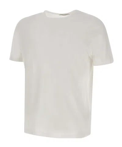 Kangra Cashmere Cotton T-shirt In Animal Print