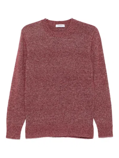 KANGRA CASHMERE CREW-NECK SWEATER