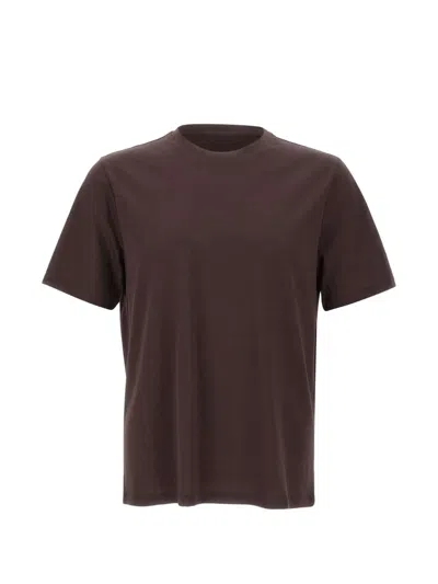 Kangra Cashmere Crew-neck Short-sleeve T-shirt In Brown
