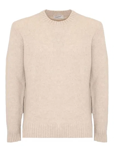Kangra Cashmere Ribbed-trim Crew-neck Sweater In Brown