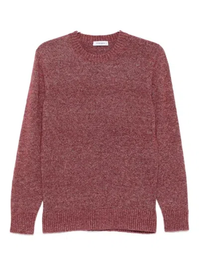 Kangra Cashmere Textured Knit Red Sweater In White