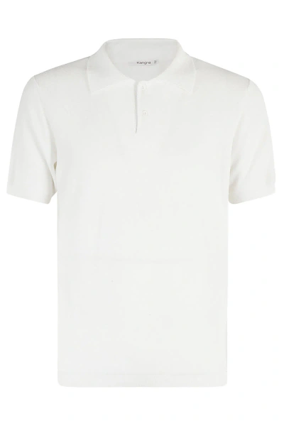 Kangra Polo In Bianco