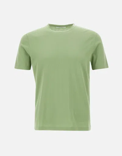 Kangra Cotton T Shirt In Sage Green Regular Fit