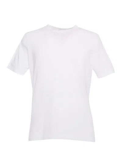 Kangra White T-shirt