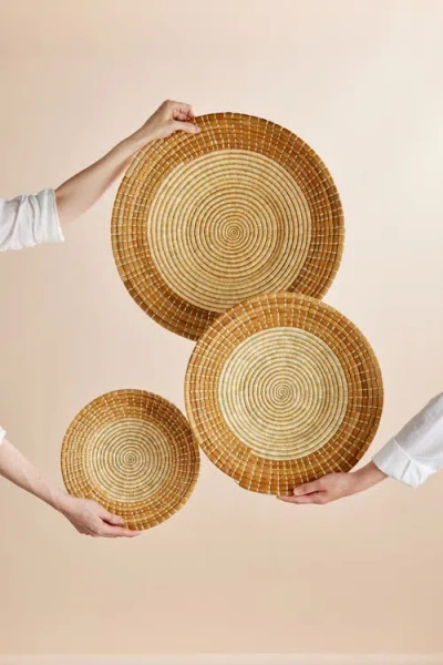 Kanju Interiors Pete Banana Bark Basket In Brown