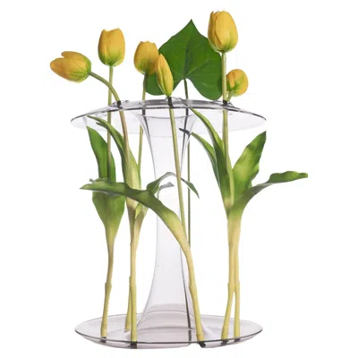 Pre-owned Kanz Handcrafted Minimalist Glass Vase, Aqua, Trasparent,  In Black
