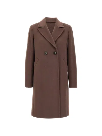 Kaos Button Double-breasted Coat In Brown