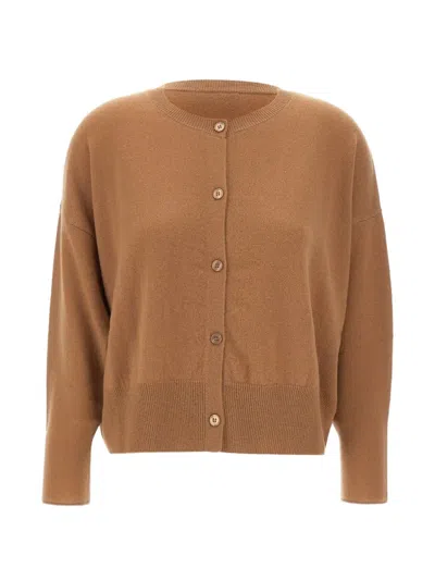 Kaos Crew-neck Cardigan In Brown