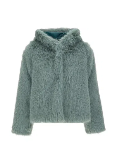 Kaos Long-sleeve Hooded Jacket In Green