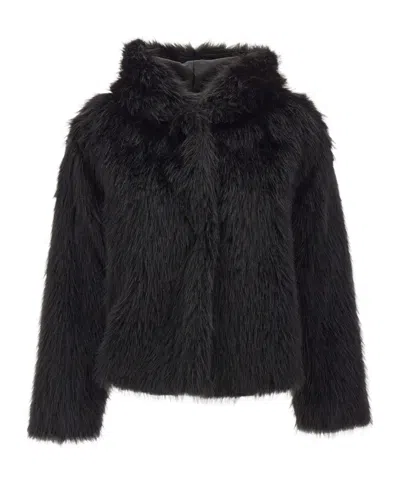 Kaos Faux-fur Wide-collar Jacket In Black