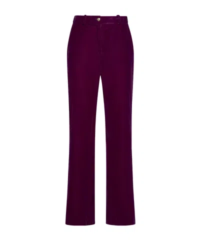 Kaos Pants In Burgundy