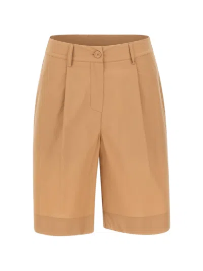 Kaos Pleated Tailored Shorts In Brown