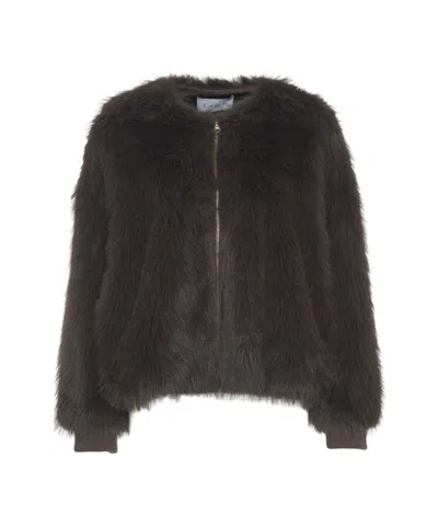 Kaos Plush Faux Fur Cropped Jacket In Gray