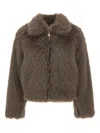Kaos Pointed-collar Jacket In Brown