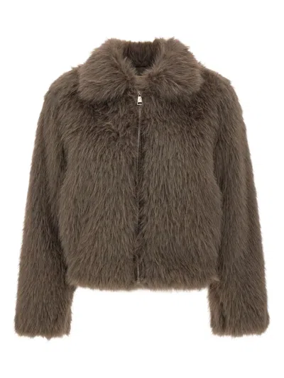 Kaos Pointed-collar Jacket In Brown