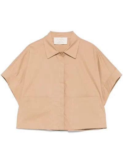 Kaos Poplin Shirt In Brown