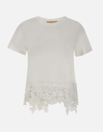 Kaos T-shirts And Polos In Yellow Cream