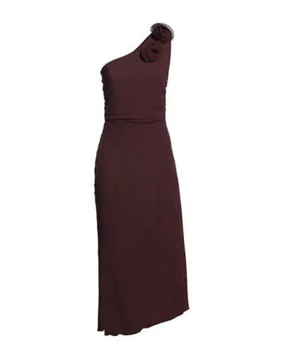 Kaos Woman Midi Dress Dark Brown Size 6 Polyester