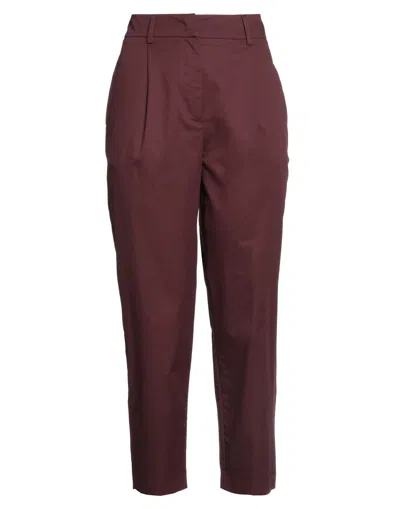 Kaos Pants In Purple
