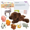 Kaplan Early Learning Company Animal Friends Learning Kit In Multi