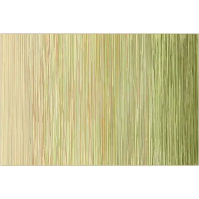Kaplan Early Learning Company Sense Of Place Nature's Stripes Carpet In Green