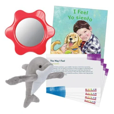Kaplan Early Learning Company Kids'  The Way I Feel Learning Kit In Multi
