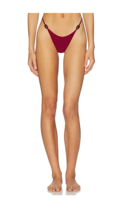 Kapri Sienna Bikini Bottom In Multi