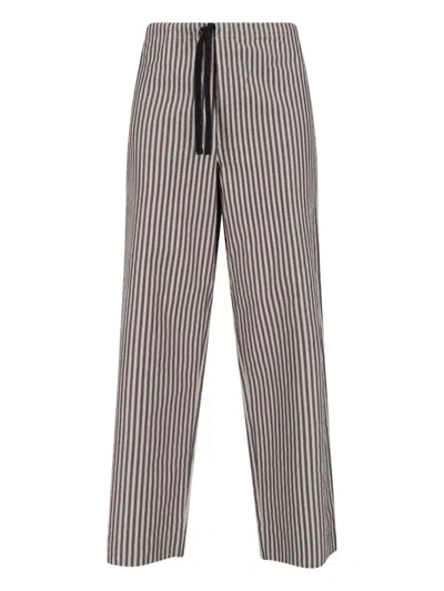 Kaptain Sunshine 100% Cotton Tapered Trousers In Brown