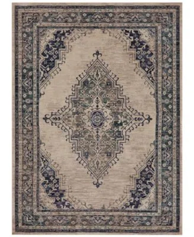 Karastan Closeout  Cosmopolitan Armitage Indigo Area Rug Collection In Gray