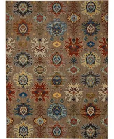 Karastan Closeout  Pandora Passion Area Rug In Brown