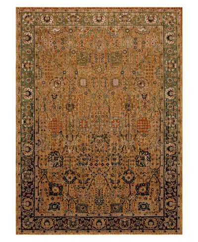 Karastan Closeout!  Spice Market Myanmar 9'6" X 12'11" Area Rug In Brown