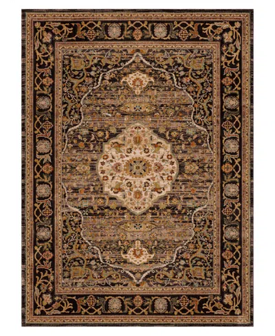 Karastan Closeout!  Spice Market Petra 9'6" X 12'11" Area Rug In Brown
