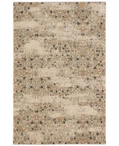 Karastan Closeout  Touchstone Eme Bronze Area Rug Collection In Multi