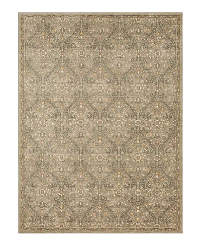 Karastan Euphoria Galway Area Rug, 3'6 X 5'6 In Willow Gre