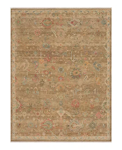 Karastan Sundar Bahu Area Rug, 9' X 12' In Brown