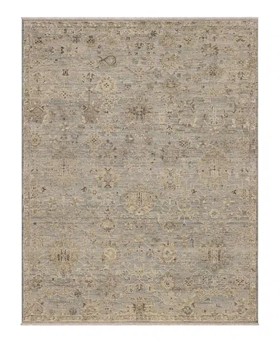 Karastan Sundar Charu Area Rug, 6' X 9' In Brown